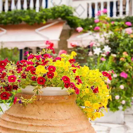 Borsalino Hotel apartamentowy 3*