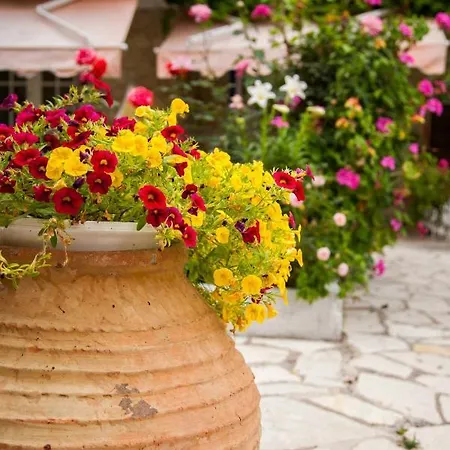 Hotel apartamentowy Borsalino