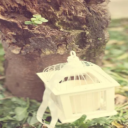 Hotel de apartamente Borsalino